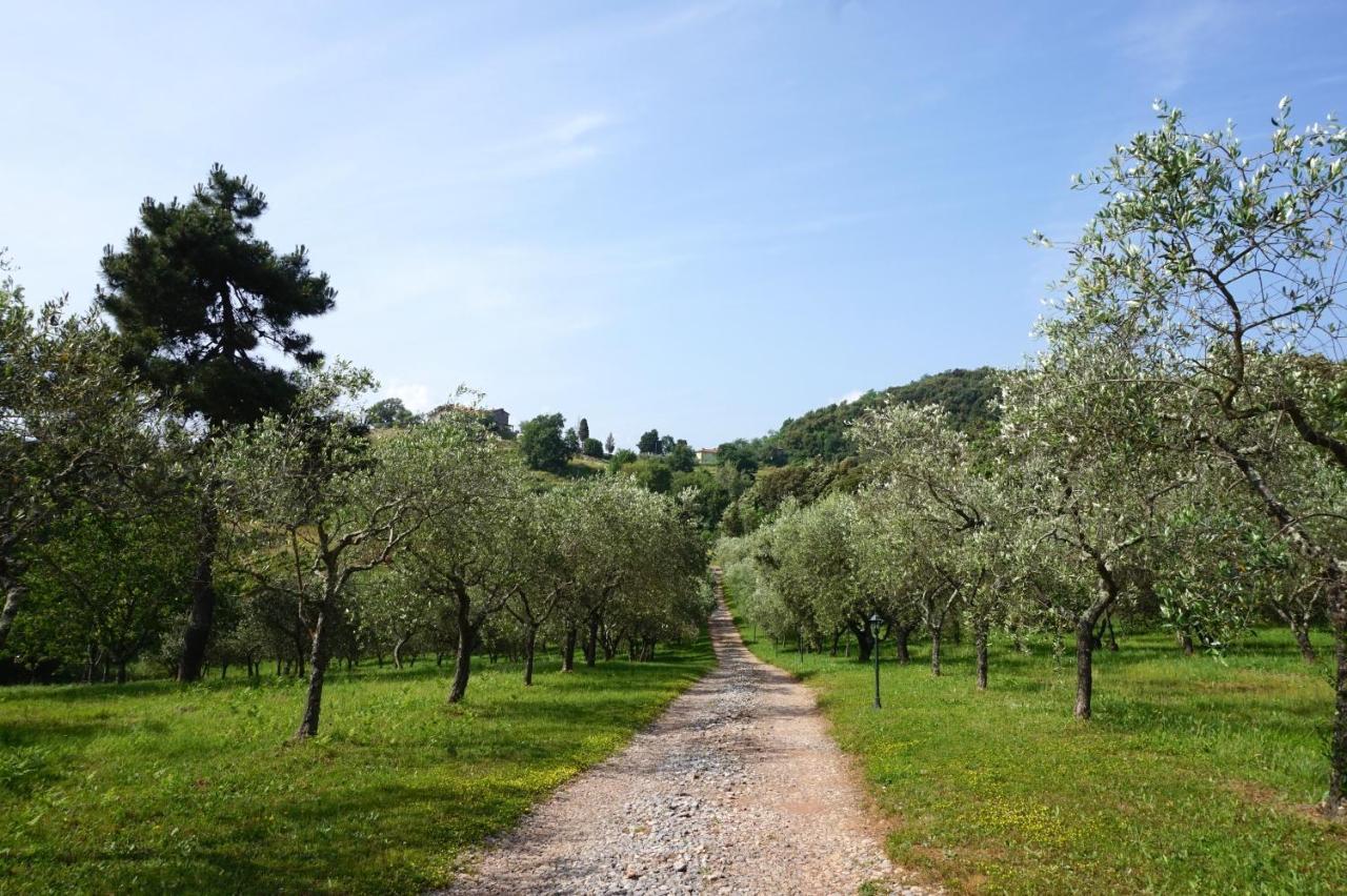 ルッカAgriturismo Le Vallilungheアパートメント エクステリア 写真