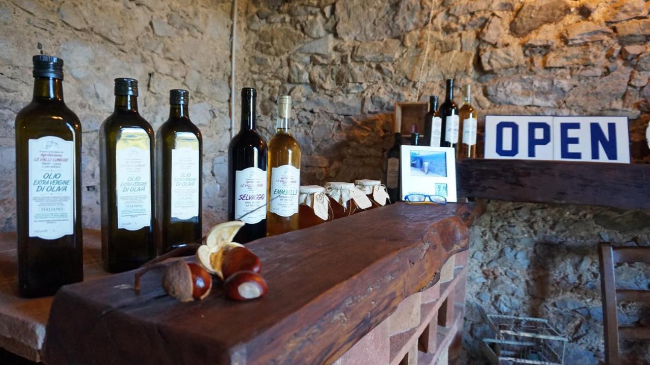 ルッカAgriturismo Le Vallilungheアパートメント エクステリア 写真