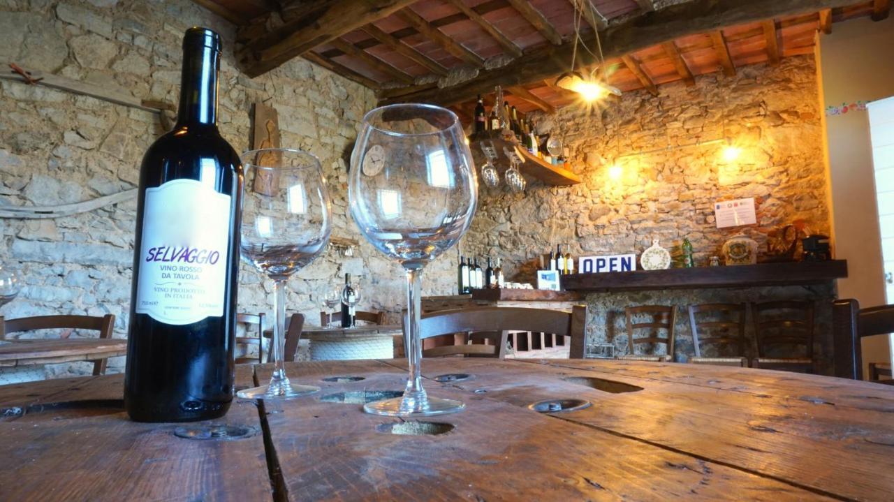 ルッカAgriturismo Le Vallilungheアパートメント エクステリア 写真