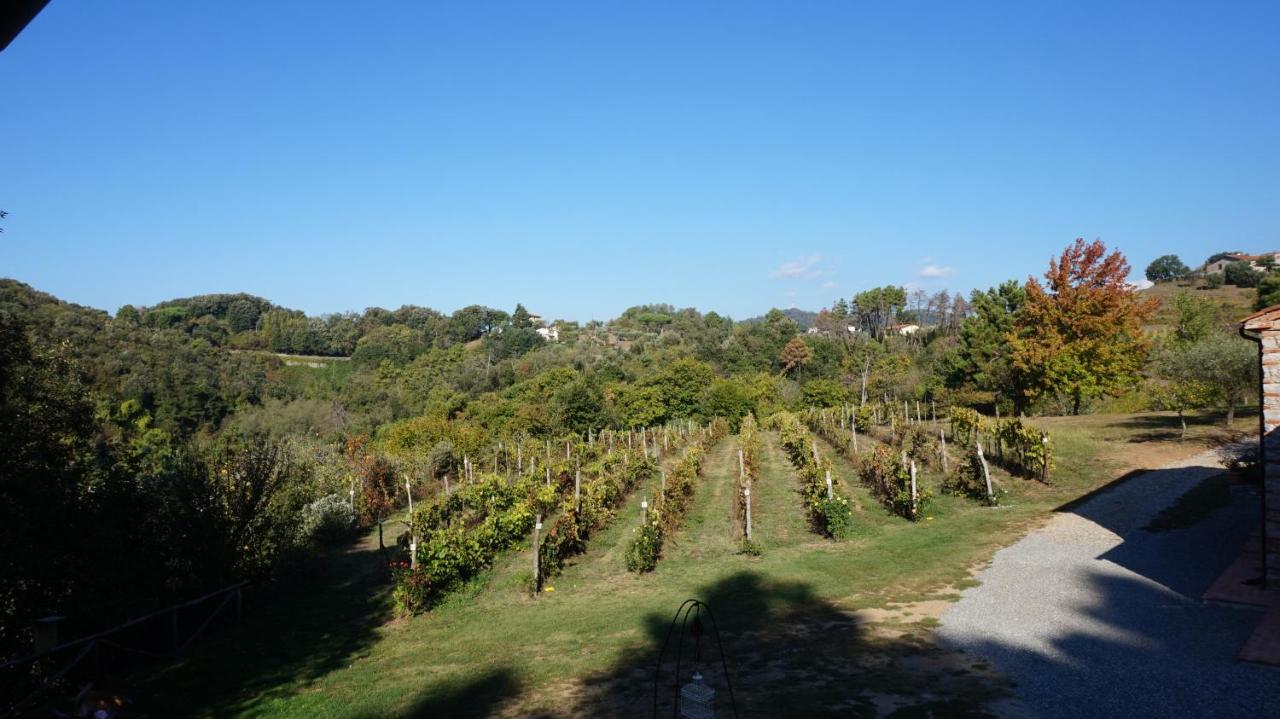 ルッカAgriturismo Le Vallilungheアパートメント エクステリア 写真