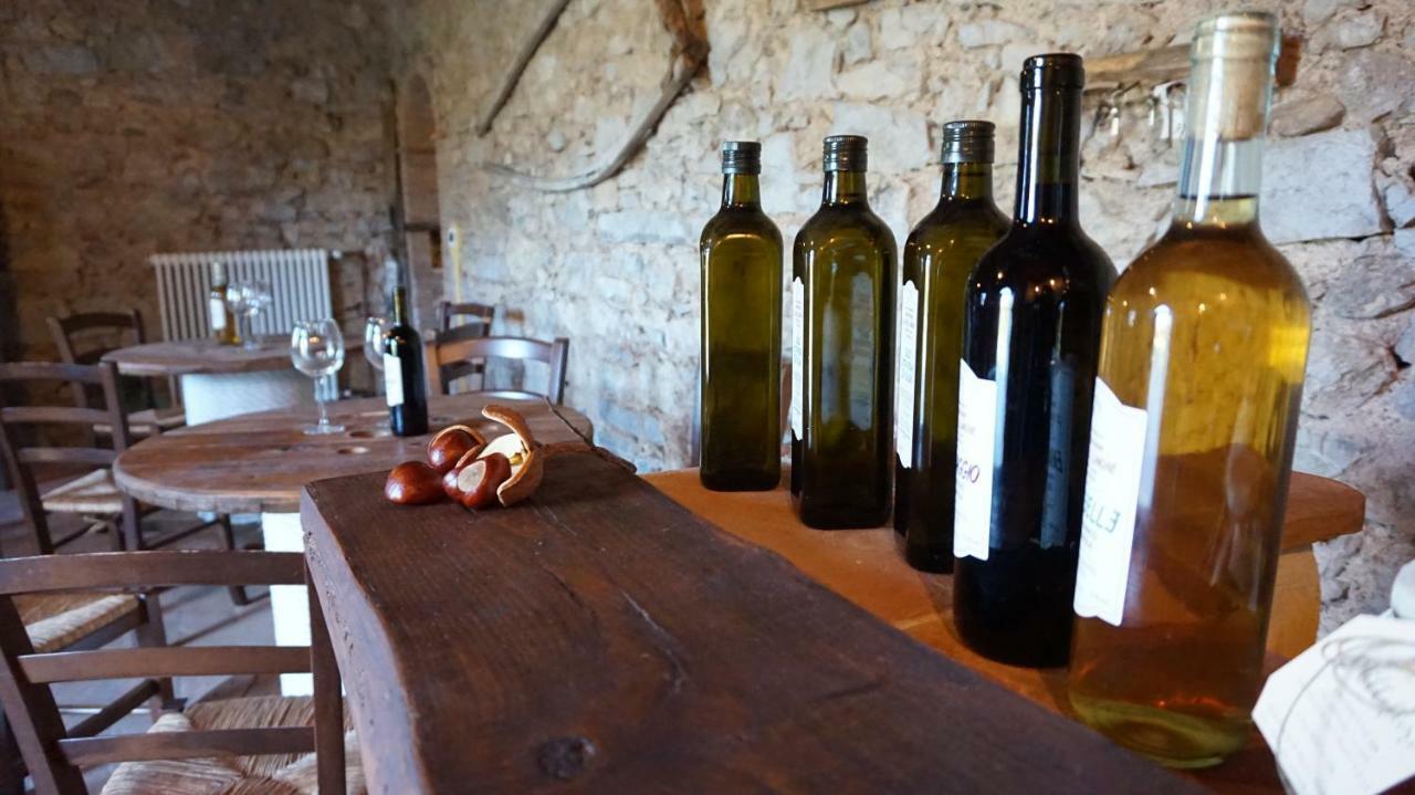 ルッカAgriturismo Le Vallilungheアパートメント エクステリア 写真